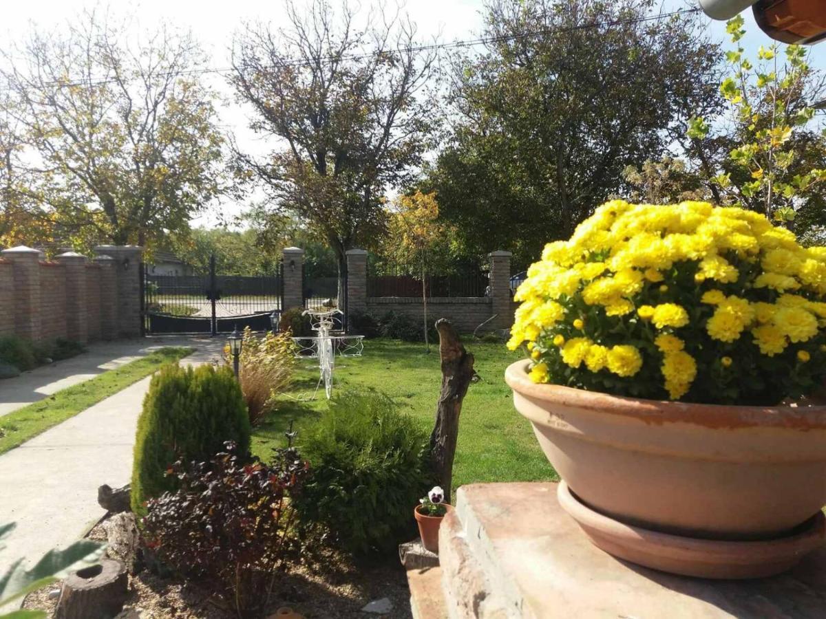 Rita Apartman & Studio Zrenjanin Exterior foto