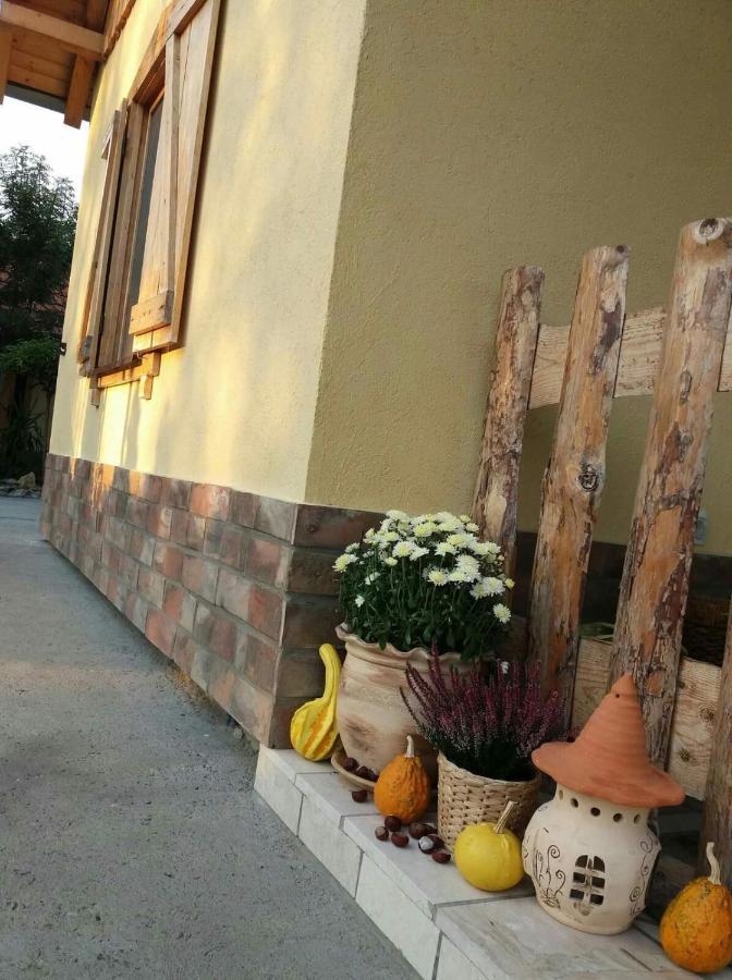 Rita Apartman & Studio Zrenjanin Exterior foto